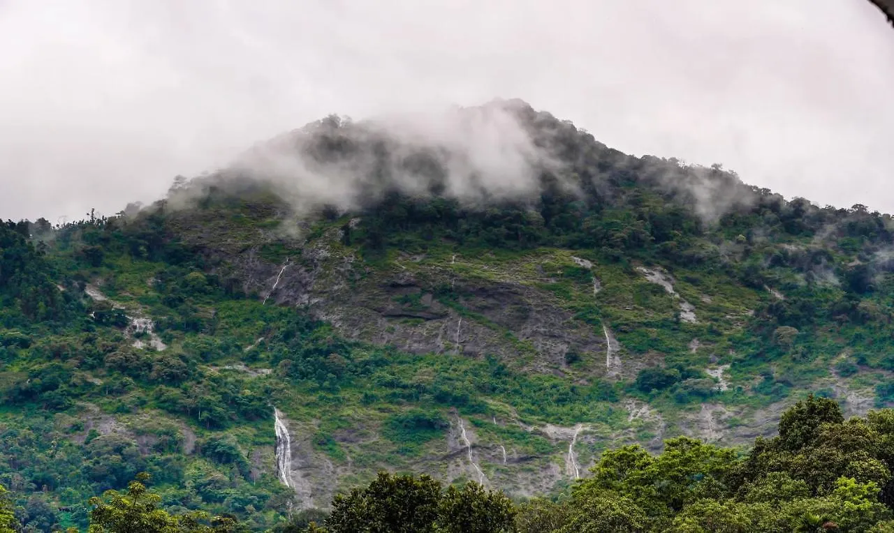 Misty Garden Resort And Spa Munnar